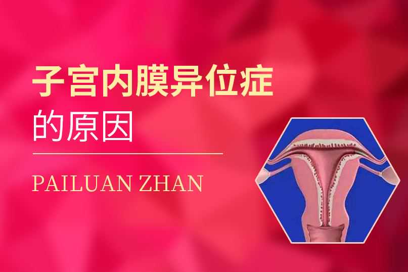 揭秘三代试管婴儿***的价格是多少