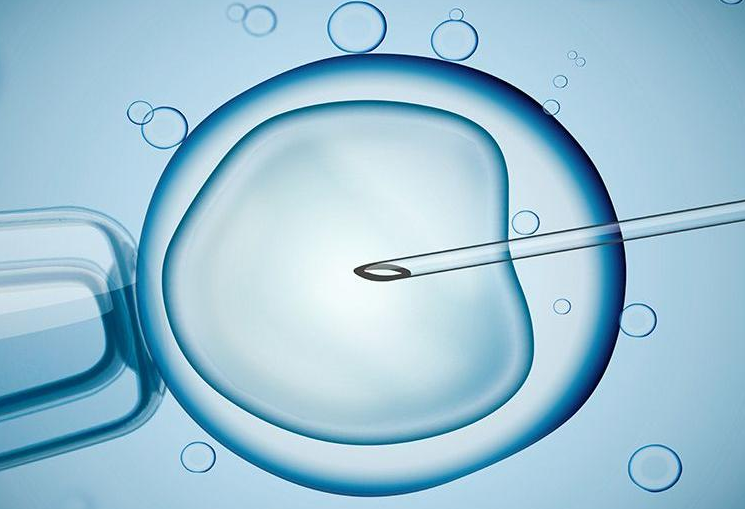 全国供卵私立医院有几家,试管婴儿胚胎移植后应注重黄体酮保胎(胚胎因素会影响试管婴儿的*率吗)