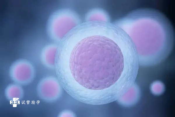 国内代生男孩套餐,试管婴儿的孩子更健康(试管婴儿到底好不好)