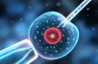 国内代生怎么找,试管婴儿如何提高*率(如何提高试管*率)