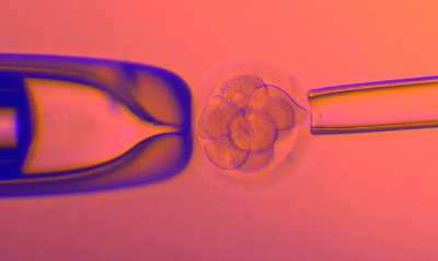 国内正规专业试管代怀公司,试管卵泡25能配*吗(卵泡16*14试管能*吗)