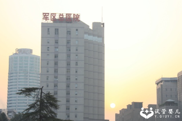 国内供卵试管排队多久,试管婴儿只有一个胚胎可以移植吗(做试管可以放一个胚胎吗)