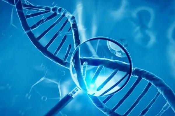 国内代怀中心,做试管婴儿痛苦吗？为什么试管反复抽血和做B超？