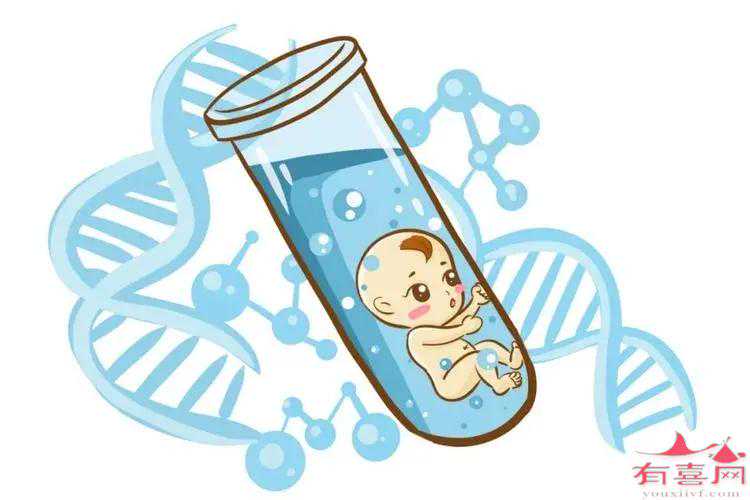 国内供精供卵试管,做试管费用多少钱？试管婴儿*进行需要多少卵泡？