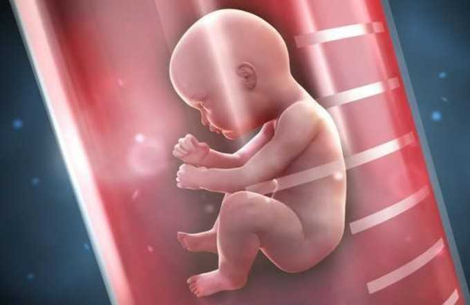 国内地下供卵电话,受精卵着床降温持续多久？受精卵着床降温降多少幅度