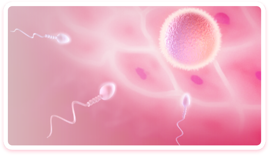 中国可以供卵的医院排名,成本和费用有何区别(成本和费用的区别是什么)