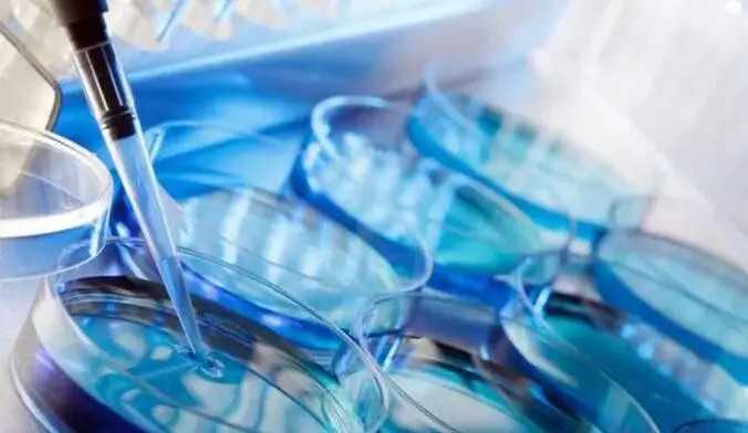 中国地下捐卵,绳结法大全（绳结种类）