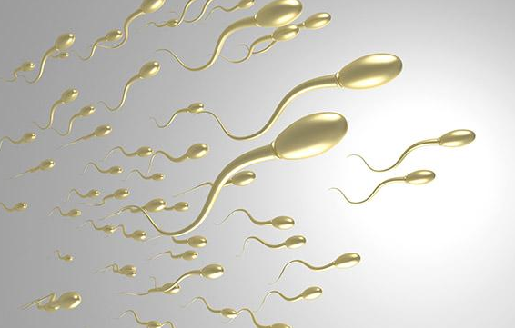 国内供卵女孩年龄,30岁AMH值多少正常，30岁做试管婴儿*率？