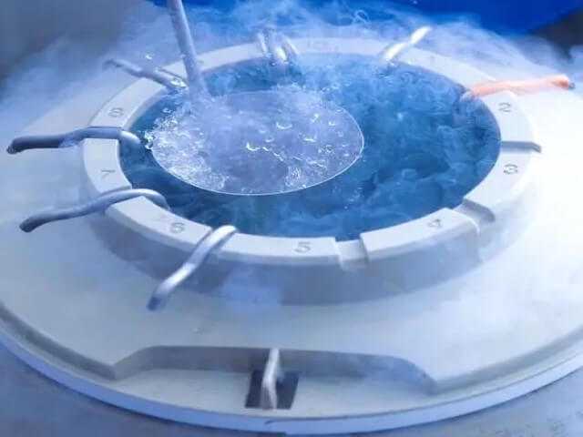 正规国内人工试管代孕公司,银行卡交易密码是什么意思（银行卡交易密码是什么）