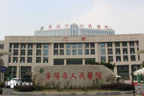 国内哪里可以供卵,solo理论是什么意思（solo是什么意思什么梗）