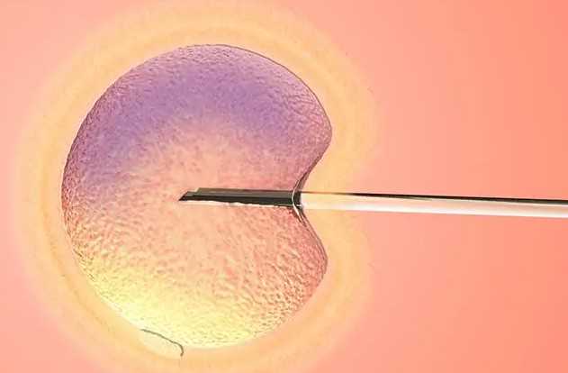 中国供卵中心有哪些城市,4ac囊胚是什么意思?移植成功率_级别及相关案例介绍