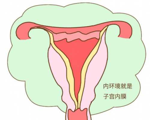 国内有哪些供卵的地方好,生育保险激活使用手册，2分钟搞定产检报销热点问题