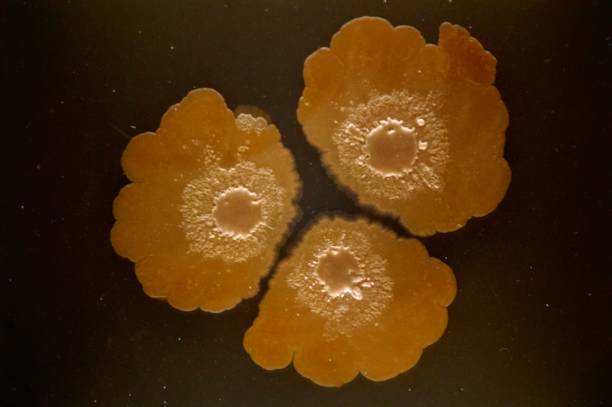 国内怎样申请供卵,宝宝打完预防针发烧别担心，中医推拿疗法帮你忙