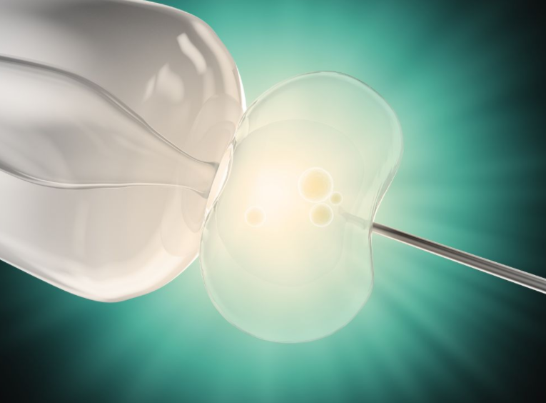 国内最好的供卵机构排名,补血又安胎!孕妇吃海参的6大好处一览