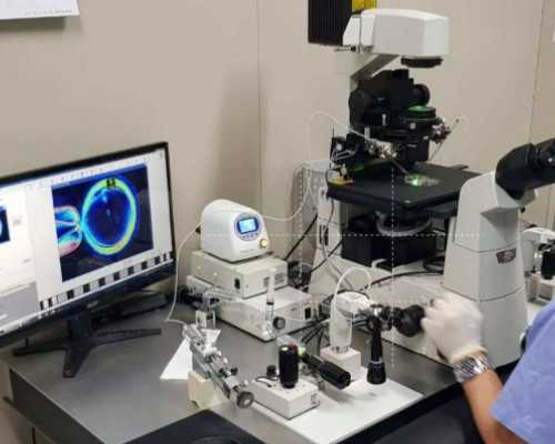 国内供卵医院有哪些好,事业单位军嫂产假规定全解，2026编制人员休这个天数