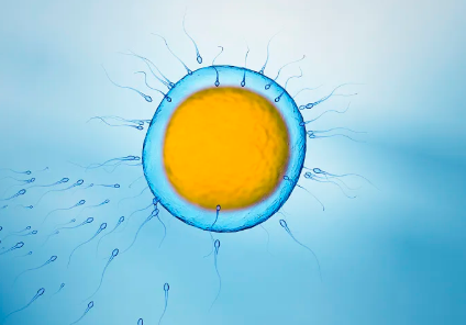 国内供卵医院排行榜,女性吃强的松并不是一定会胖，但如果长期服用可能会变胖