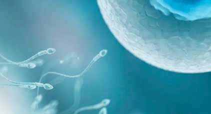 国内供卵试管公司有哪些,女性输卵管畸形，可以做试管婴儿吗？