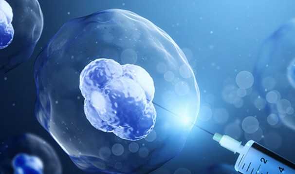 国内可以做供卵医院,南阳不孕不育症医院「专家讲座」多囊明明卵泡很多，为啥还难孕？