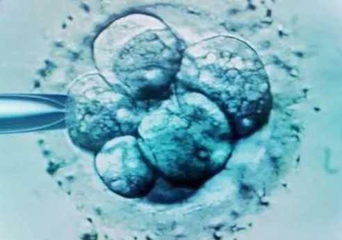 国内私人代怀公司服务,怎么物理降温退烧快2026赠你物理降温退烧快的方法