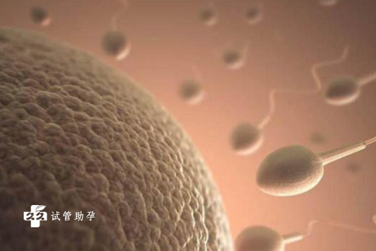 国内哪个医院可以供卵检,甲状腺癌能治愈吗，甲状腺癌治疗的成功率和方案选择