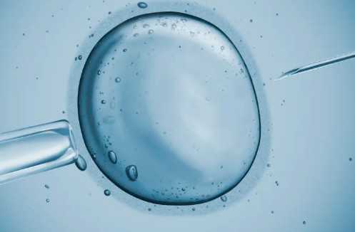 国内供卵价格查询,开封私立医院做三代试管要多少钱？费用构成详解！