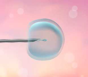 国内代生男宝,2026年婚假多少天新规定国家规定婚假婚假15天还是3天