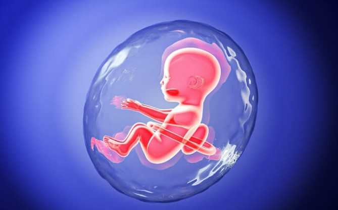 正规国内试管代孕机构,去找泰国新生代试管专家玛祖做泰国试管婴儿活产率高吗！大致多少费用！