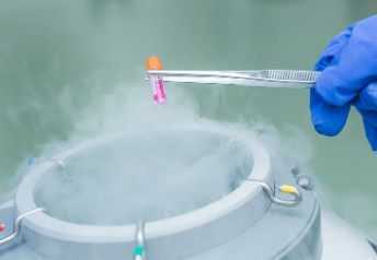 国内哪里可以供卵做试管婴儿,爱美的MM们可以试一试，有哪些小妙招可以淡化疤痕呢？