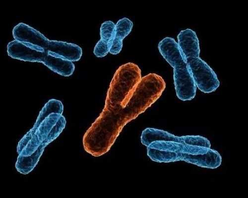 国内供卵需要准备什么,幼儿园中班健康活动教案《蛋宝宝》