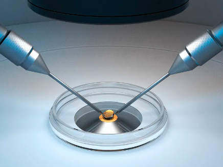 国内专业试管供卵,雀巢能恩奶粉价格表（雀巢能恩幼儿配方奶粉3段）