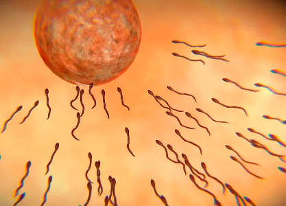 全国供卵试管婴儿医院哪家好,沈阳试管婴儿三代价格明细指南，揭秘真相在这里